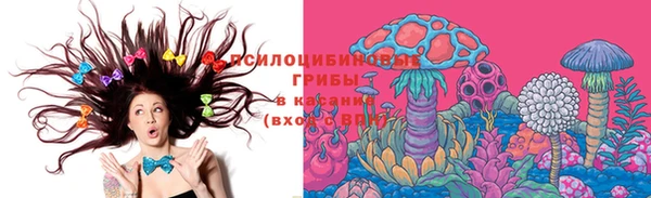 скорость Белокуриха